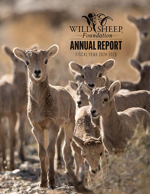 WSF Annual Report Cover FY 2024-2025